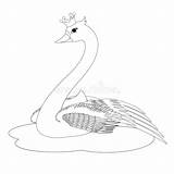 Swan Schwan Prinzessin Cigno Principessa sketch template