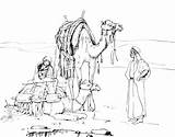 Camels Oasis Resting Getcolorings sketch template