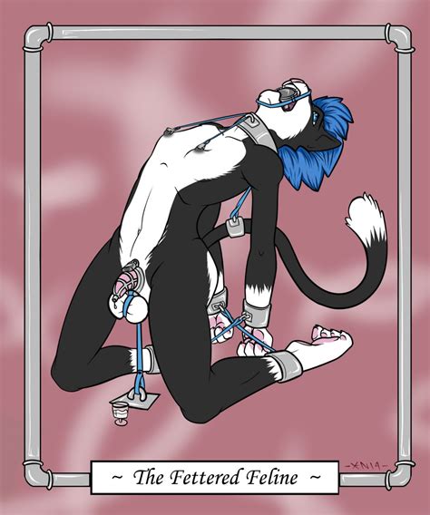 rule 34 balls blue hair bondage bound chastity cock and ball torture cock cage collar feline