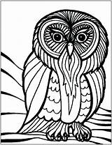 Coloring Owl Pages Birds Kids Outline Color Owls Cute Bird Printable Print Adults Cool Drawing Cartoon Adult Clipart Children Animals sketch template