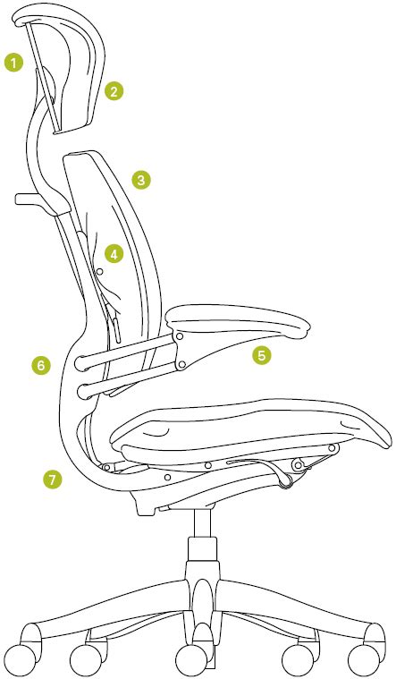 diagram   humanscale freedom task chair