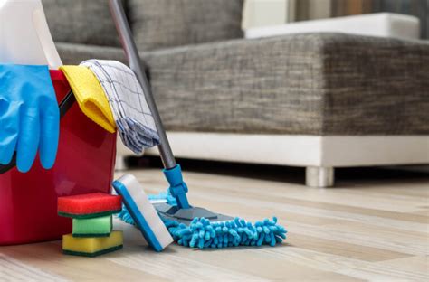 ways  clean  house   pro housekeeper