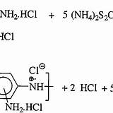 Phenylenediamine Dihydrochloride Ammonium Oxidation Dispersions Poly sketch template