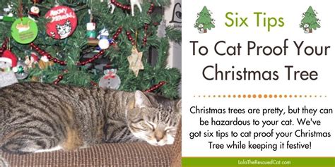 Christmas Is Coming 6 Tips To Cat Proof Your Christmas