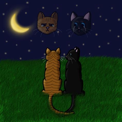 leafpool and crowfeather by nekozy on deviantart