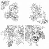 Coloring Forest Animals Book sketch template