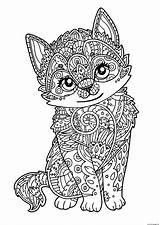 Coloring Zentangle Cat Pages Adult Cute Printable Color sketch template