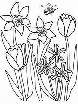 Spring Coloring Pages Printable Flowers Color Kids Flower Tulips Sheets Print Parents Daffodils Adult Outside Choose Board Kid Printables Getcolorings sketch template