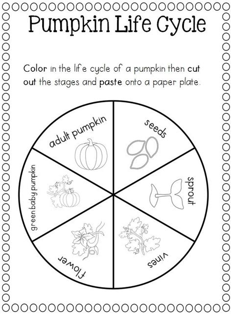 pumpkin life cycle pinterest pumpkins search  life cycles