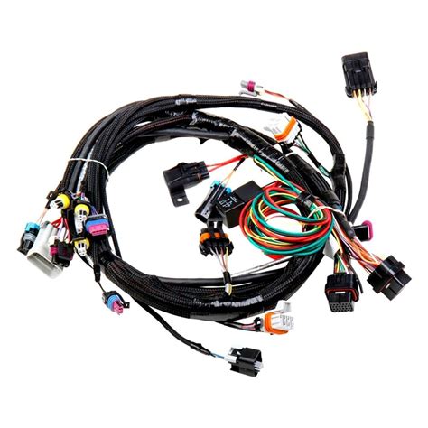 holley   dominator efi main harness kit