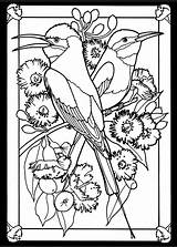 Coloring Pages Dover Publications Adult Book Hummingbird Glass Stained Beautiful Bird Freebie Color Birds Mated Pairs Books Stamping Colorear Dovers sketch template