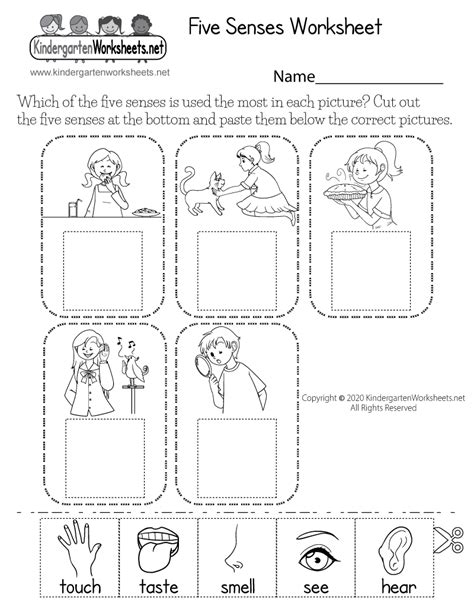 igarni preschool  printable  senses worksheets