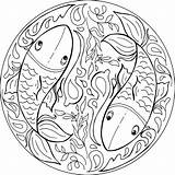 Fishes Farbton Carp Fischt Coloritura Pesca Vettore sketch template