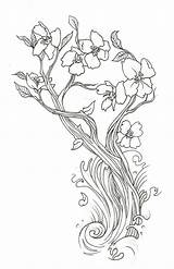 Blossom Peach Drawing Coloring Getdrawings Pages Cherry sketch template