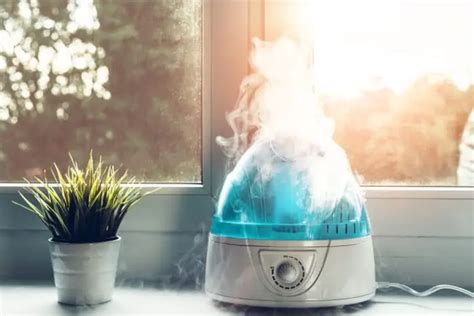 benefits  cool mist humidifiers  amazing benefits fresh air guru