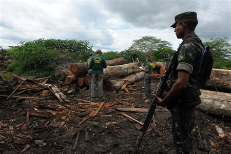 brazil s army moves to protect indigenous awá tribe by halting illegal