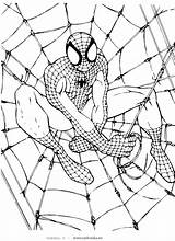 Coloring Pages Spiderman Kids Printable Man Spider Printables Lego Books sketch template