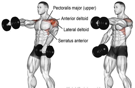 shoulder workouts  exercises  beginners   gym