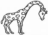 Giraffe Savanna sketch template