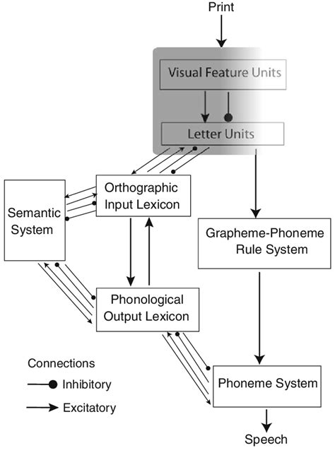 dual route cascaded drc model  visual word recognition   scientific diagram