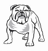 Bulldogs Roosters Canterbury Bankstown Drawings Logo Clipart Cliparts Library Use sketch template