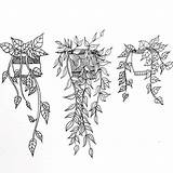 Doodles Vines Plants sketch template