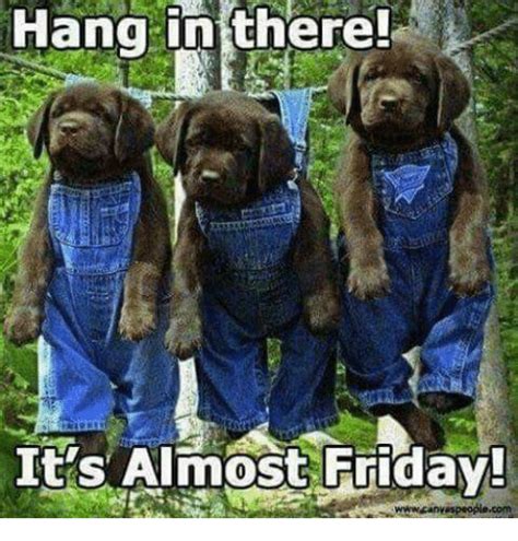 hang in there it s almost friday meme on me me