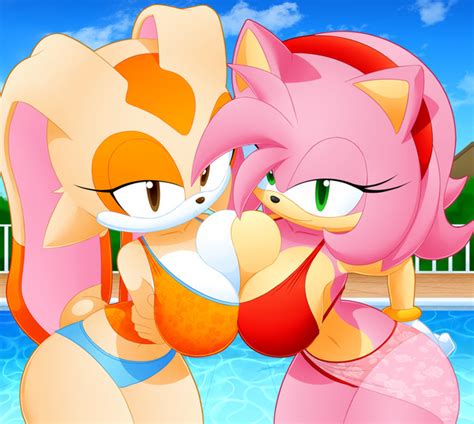 rule 34 2girls amy rose anthro arms crossed ass asymmetrical docking