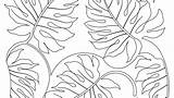 Coloring Pages Plants Leaves Jungle Printable Rainforest Sea Leaf Template Drawing Getdrawings Plant Templates Getcolorings Ocean Personal Paintingvalley Color Kids sketch template