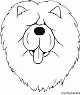 Chow Coloring Dog Face Pages Designlooter 400px 42kb Getcolorings sketch template