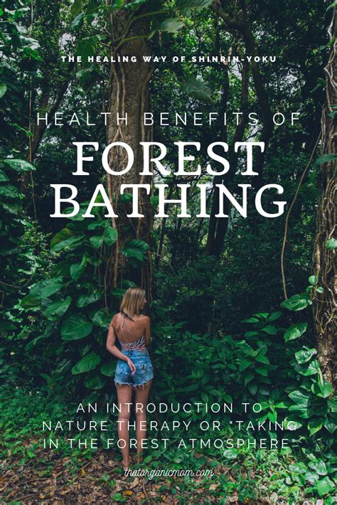 Forest Bathing A Natural Prescription