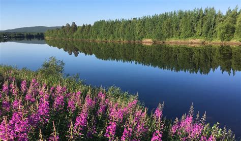 lapland   summer adventures  northern finland  norway
