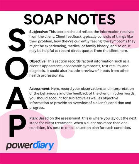 whats  difference soap notes  dap notes power diary