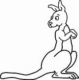 Kangaroo Coloring Color Pages Clipart Comments sketch template