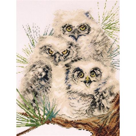 owl trio counted cross stitch kit