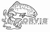 Trout Orvis sketch template