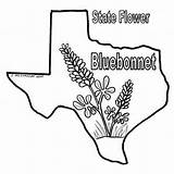 Texas Coloring Bluebonnet Pages Bluebonnets Longhorn Color Sheets Flag Print Bob Book Drawings State Drawing Printable Blue Sheet Getcolorings Line sketch template