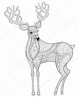 Zentangle Reindeer Horned Elk Antist Navidad Alce Panki sketch template