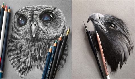 stunning animals realistic pencil drawing  jonathan martinez