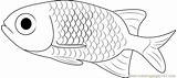 Fish Coloring Small Pages Coloringpages101 Pdf sketch template