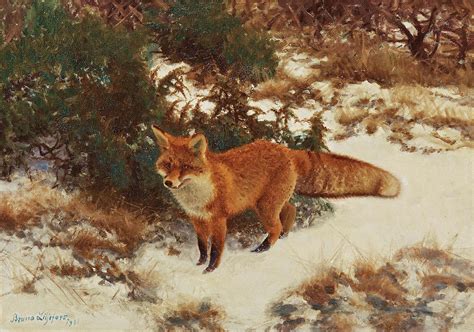 Fox In The Winterforest Painting By Bruno Liljefors