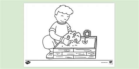 planting seeds colouring sheet twinkl resources