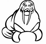 Walrus sketch template