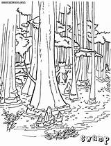 Swamp Coloringway sketch template