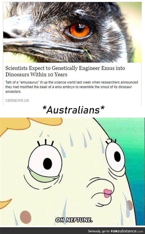 preparations for the second great emu war 2018 colourized