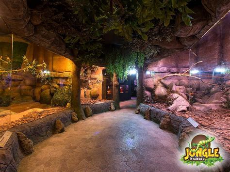 jungle park entrance jungle safari  dungeon