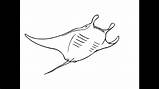 Draw Skate Fish как нарисовать sketch template