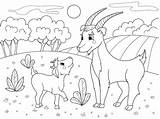 Coloring Pages Animal Families Print Printable 30seconds Family Everyone Mom Fun Tip sketch template
