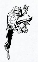 Spiderman Spider Timm Animationtidbits sketch template