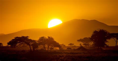 ultimate east africa safari natural habitat adventures